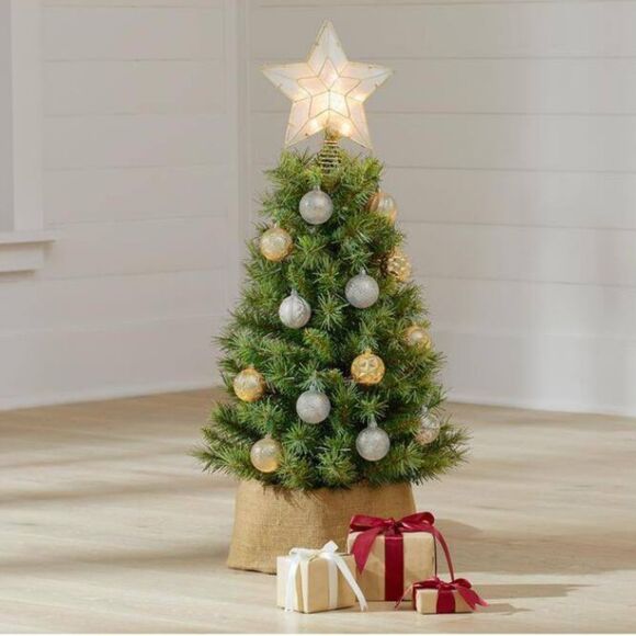 🎄 3’ Tacoma Pine Christmas Tree 🎄 - Picture 4 of 16